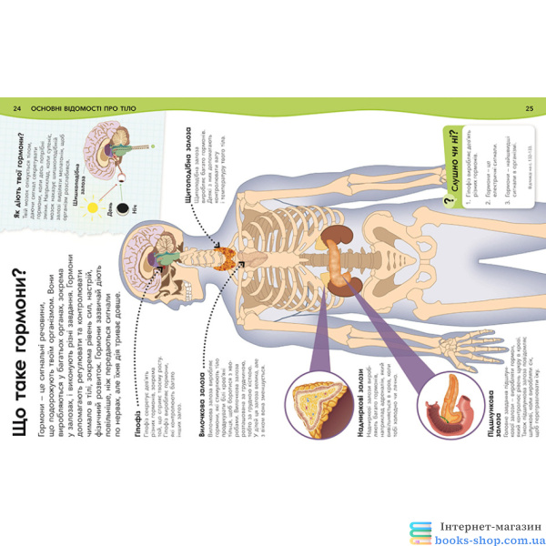 Чому кров червона? І ще 101 чому про людське тіло