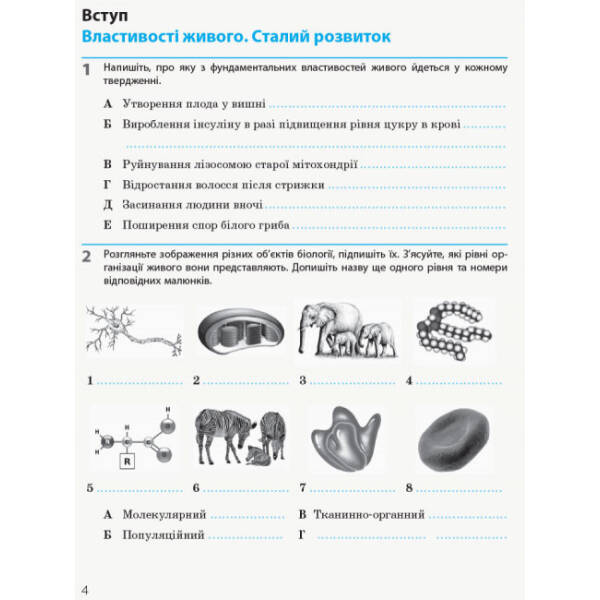 Біологія і екологія (рівень стандарту). 10 клас. Робочий зошит