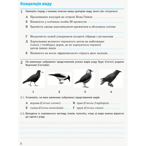 Біологія і екологія (рівень стандарту). 10 клас. Робочий зошит