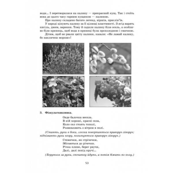 Чарівний світ емоцій. Гурткова робота. Старший дошкільний вік + CD-диск
