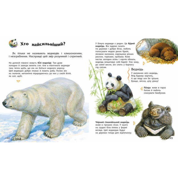 Енциклопедія дошкільника (збірник)