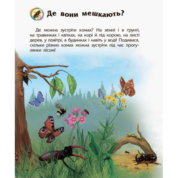 Комахи. Енциклопедія дошкільника