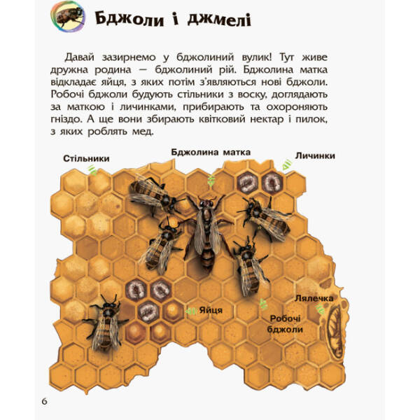 Комахи. Енциклопедія дошкільника