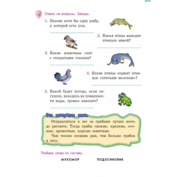 Летние упражнения. Из 4 в 5 класс (для будущих пятиклассников) (російською мовою)