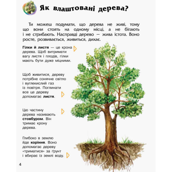 Ліс. Енциклопедія дошкільника