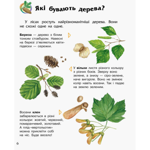 Ліс. Енциклопедія дошкільника
