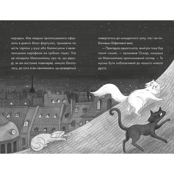 Макс — кіт-детектив. Зухвале викрадення