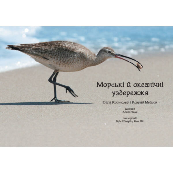 Морські й океанічні узбережжя