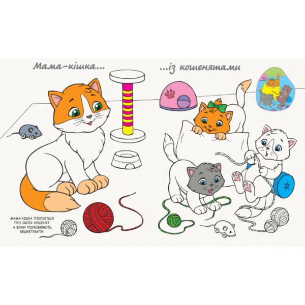 Моя розмальовочка. Канікули в селі