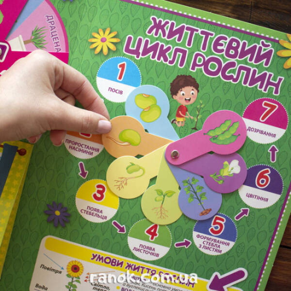 НУШ Міні-лепбук. Рослини