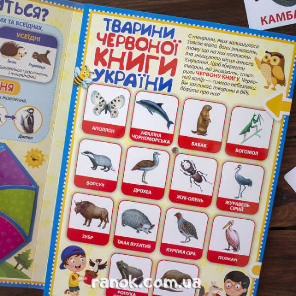 НУШ Міні-лепбук. Тварини