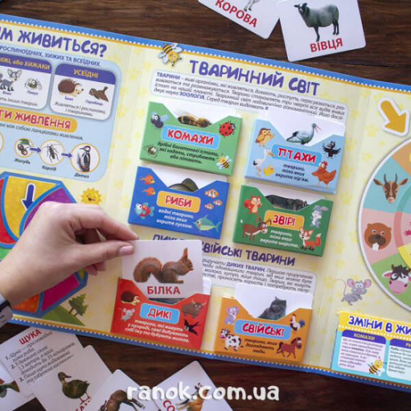 НУШ Міні-лепбук. Тварини