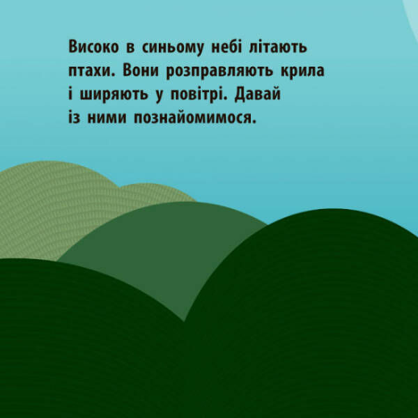 Повітряний екіпаж