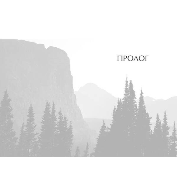 Темний секрет. Книга 4. Крила вогню