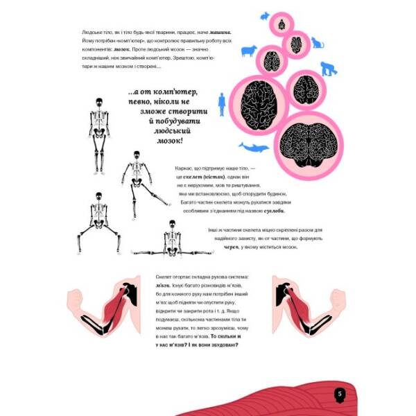 Тіло людини