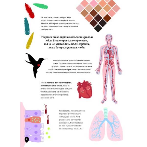 Тіло людини