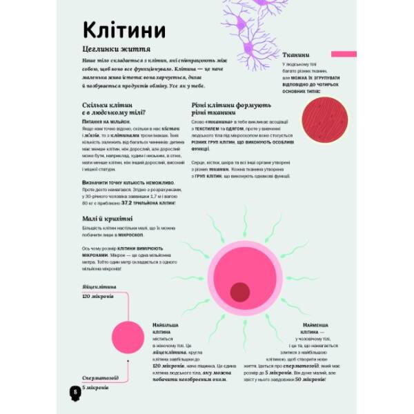 Тіло людини