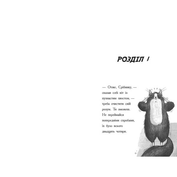 Тото. Кішка-ніндзя та справа про викрадення сиру. Книга 2