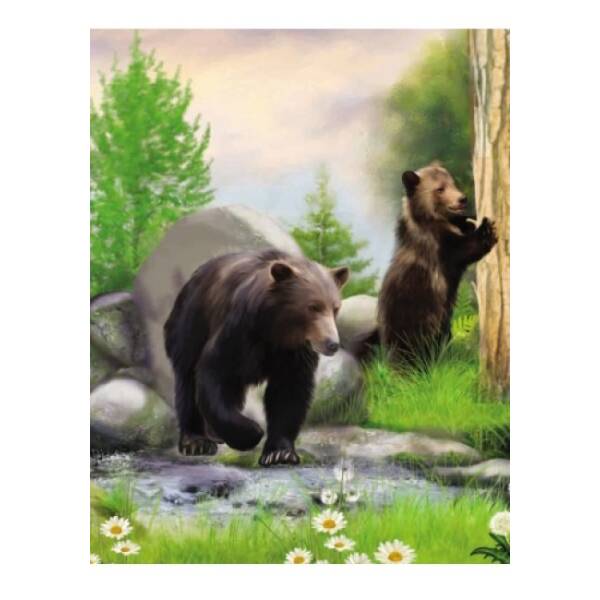 Тваринний світ гір. Моя Україна. Читаємо по складах