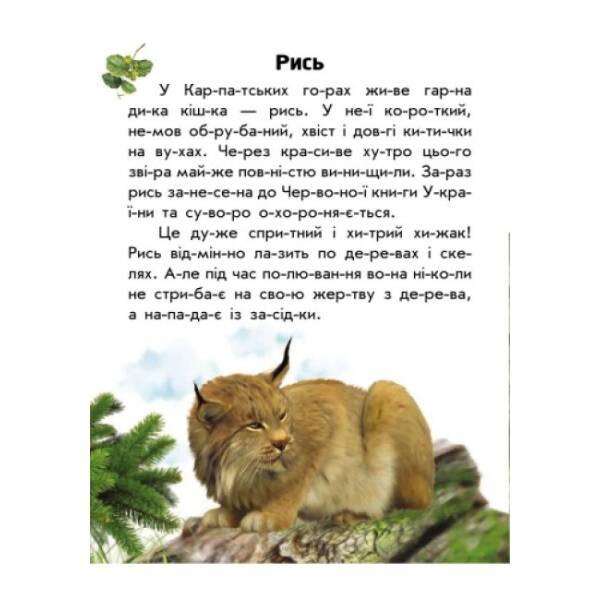 Тваринний світ гір. Моя Україна. Читаємо по складах