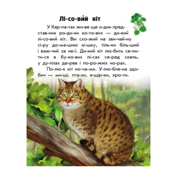 Тваринний світ гір. Моя Україна. Читаємо по складах