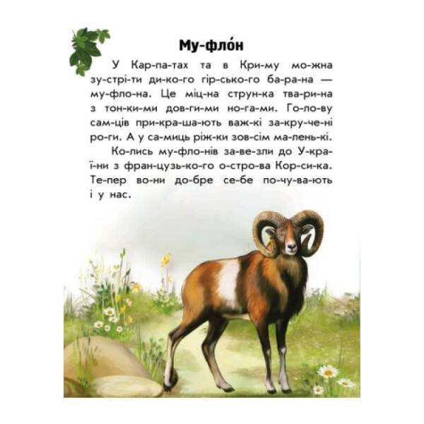 Тваринний світ гір. Моя Україна. Читаємо по складах