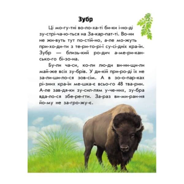 Тваринний світ гір. Моя Україна. Читаємо по складах