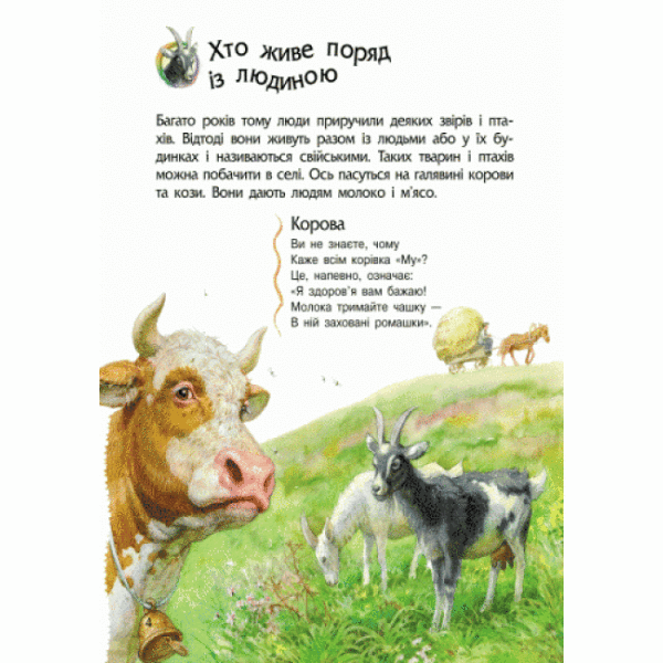 Тварини. Енциклопедія дошкільника