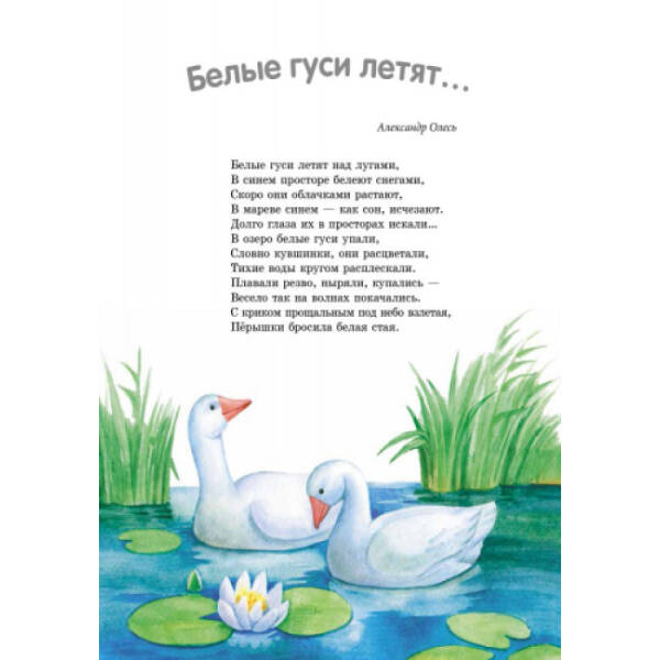 Твоя книга. Сказки и рассказы (розовая) (російською мовою)