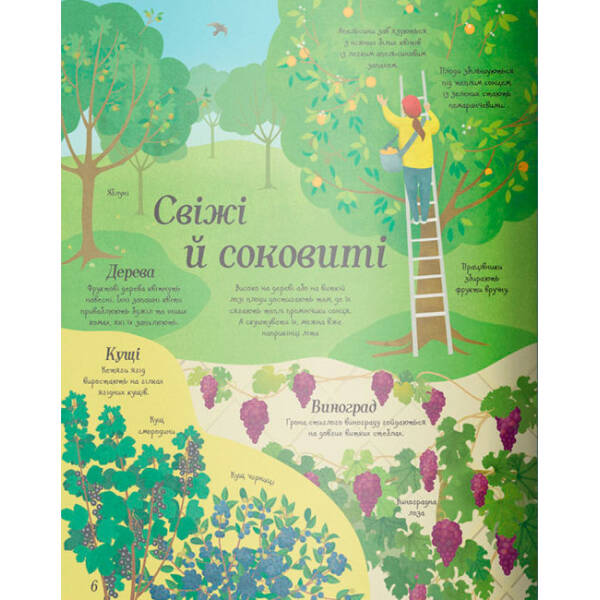 Усе починається з насіння… як росте їжа