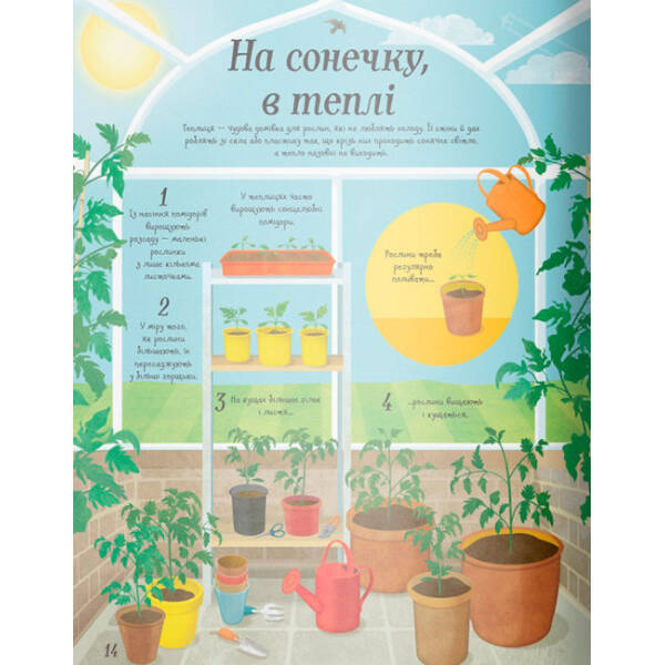 Усе починається з насіння… як росте їжа