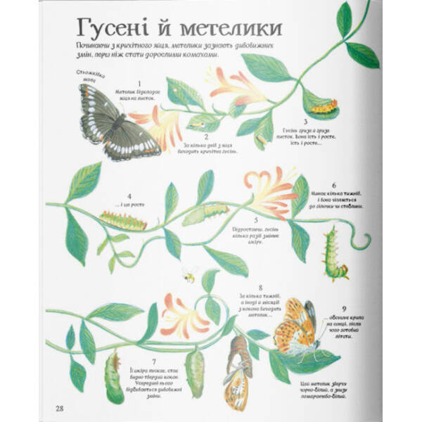 Велика ілюстрована книга про природу