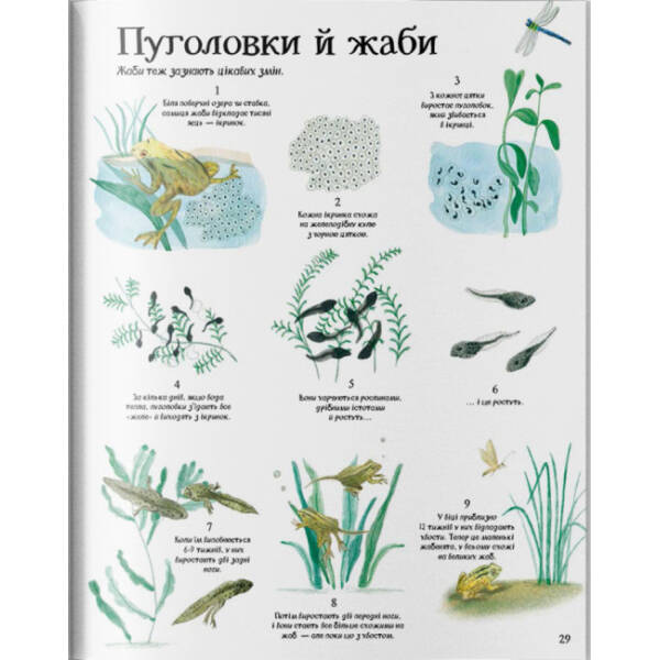 Велика ілюстрована книга про природу