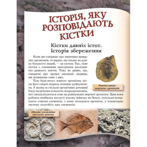 Від мавпи до людини