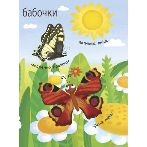 Як народжується метелик? Моя перша енциклопедія (російською мовою)