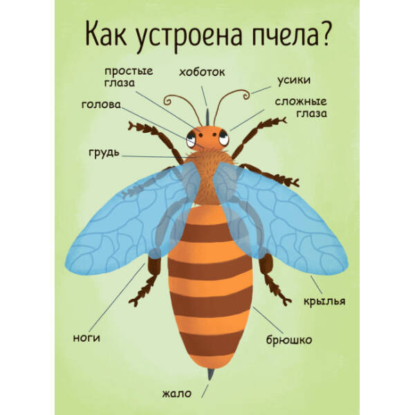 Як утворюється мед? Моя перша енциклопедія (рос.)