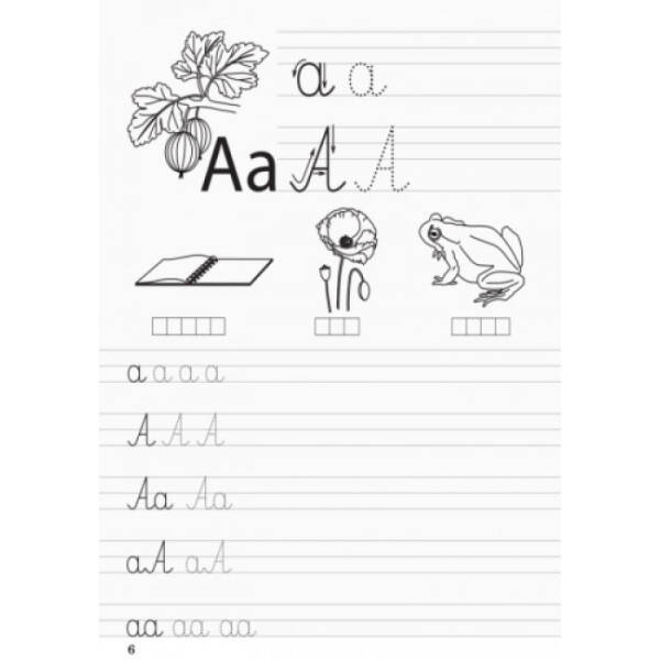 Зошит-шаблон з польської мови. Для початкової школи