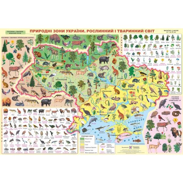Плакат «Природні зони України. Рослинний і тваринний світ»