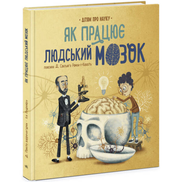 Як працює людський мозок