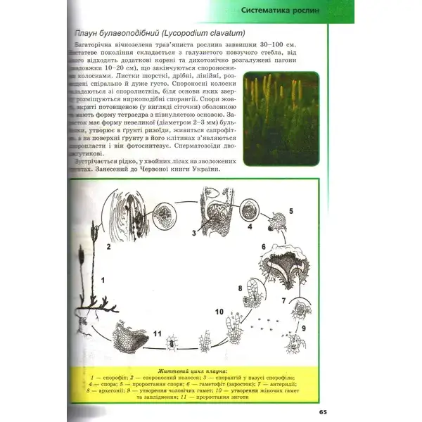 Біологія, 7-8 кл., Ілюстрований довідник – Шаламов Р.В. – Гімназія (107239)