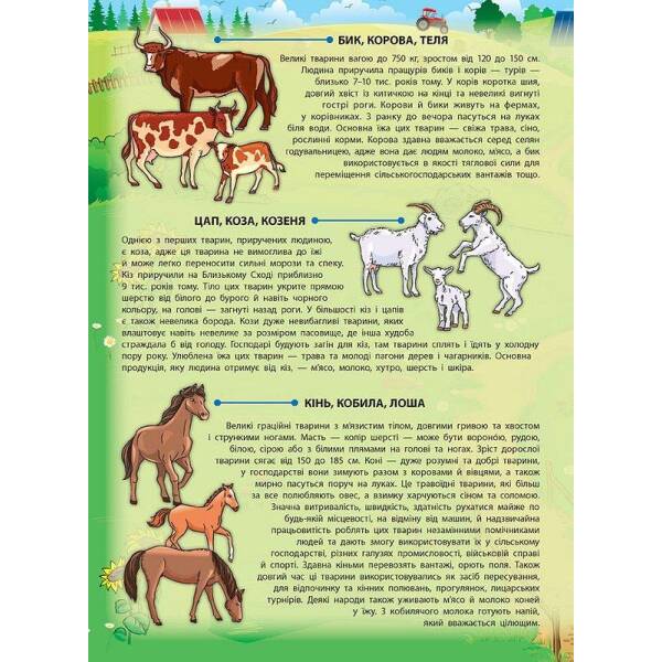 Енциклопедія з наліпками. Свійські тварини – Смирнова К. В. – УЛА (104848)