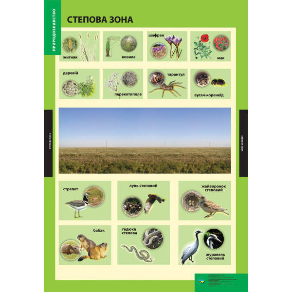 ПЛАКАТ Степова зона