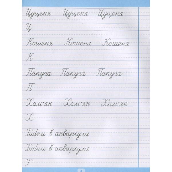 Тренажер для списування речень і текстів. Широка лінійка – Фісіна А.А. – Торсінг (104424)