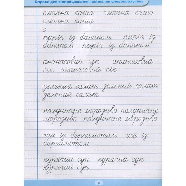 Тренажер для списування речень і текстів. Широка лінійка – Фісіна А.А. – Торсінг (104424)