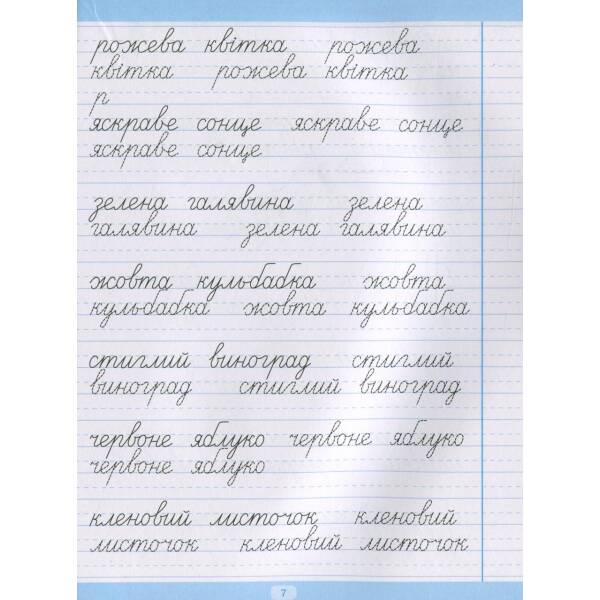 Тренажер для списування речень і текстів. Широка лінійка – Фісіна А.А. – Торсінг (104424)