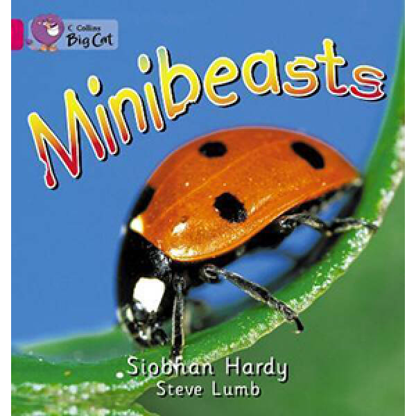 Big Cat 1A Minibeasts. Workbook.