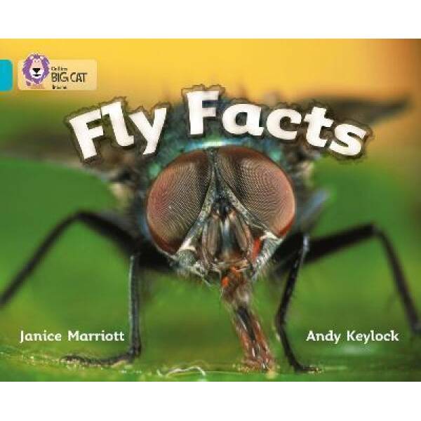 Big Cat 7 Fly Facts.