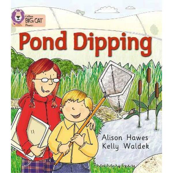 Big Cat Phonics 2B Pond Dipping.