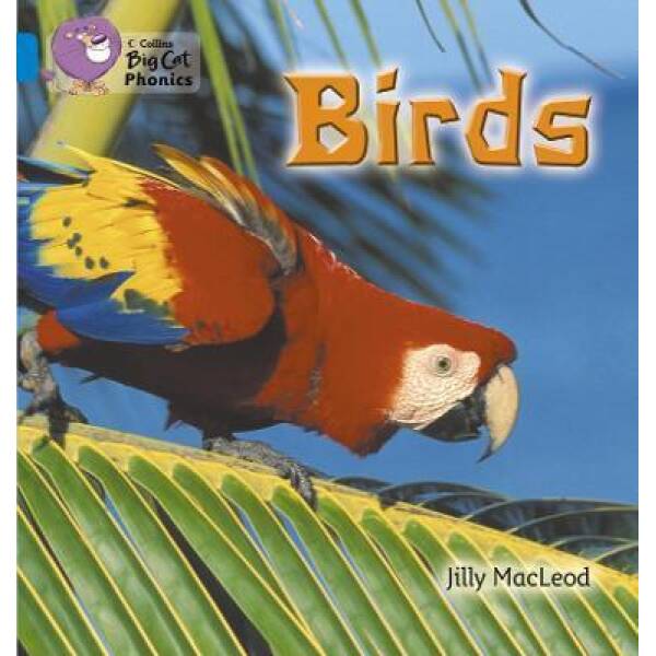 Big Cat Phonics 4 Birds.