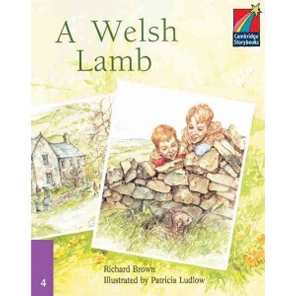 CSB 4 A Welsh Lamb